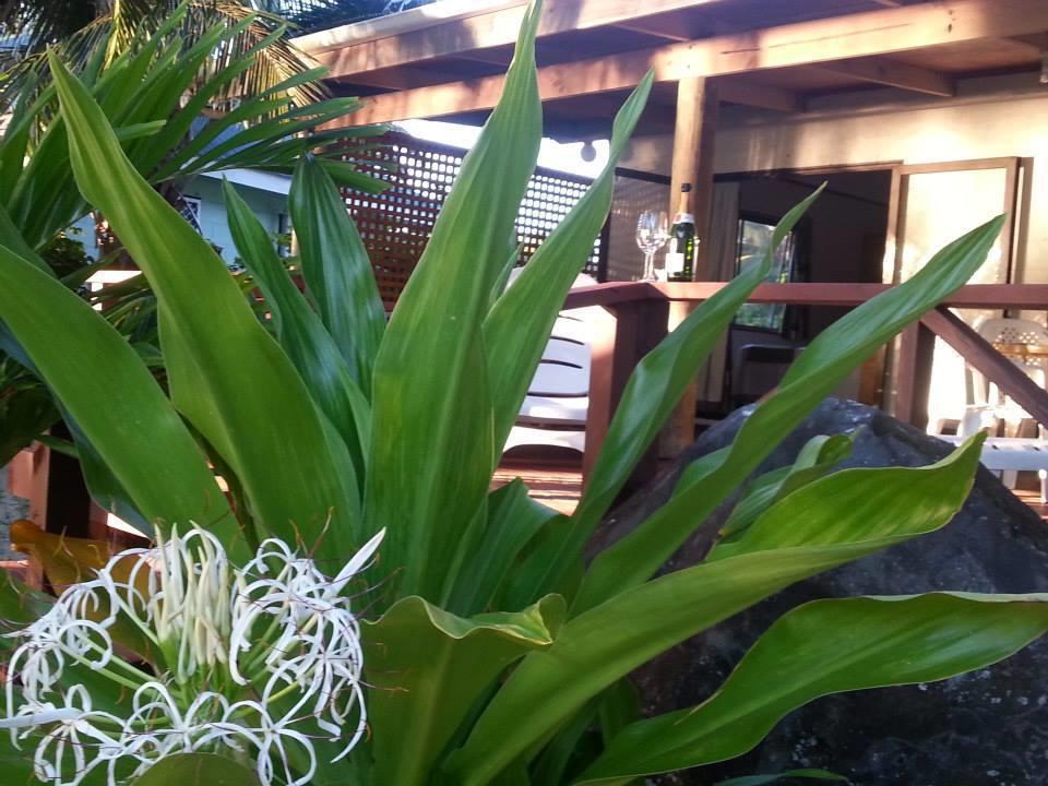 Hotel Sunset Palms Rarotonga Exteriér fotografie